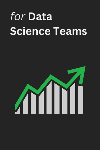Data Science Teams