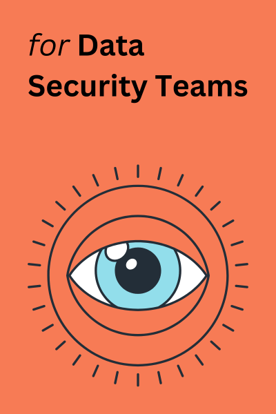 Data Security Teams